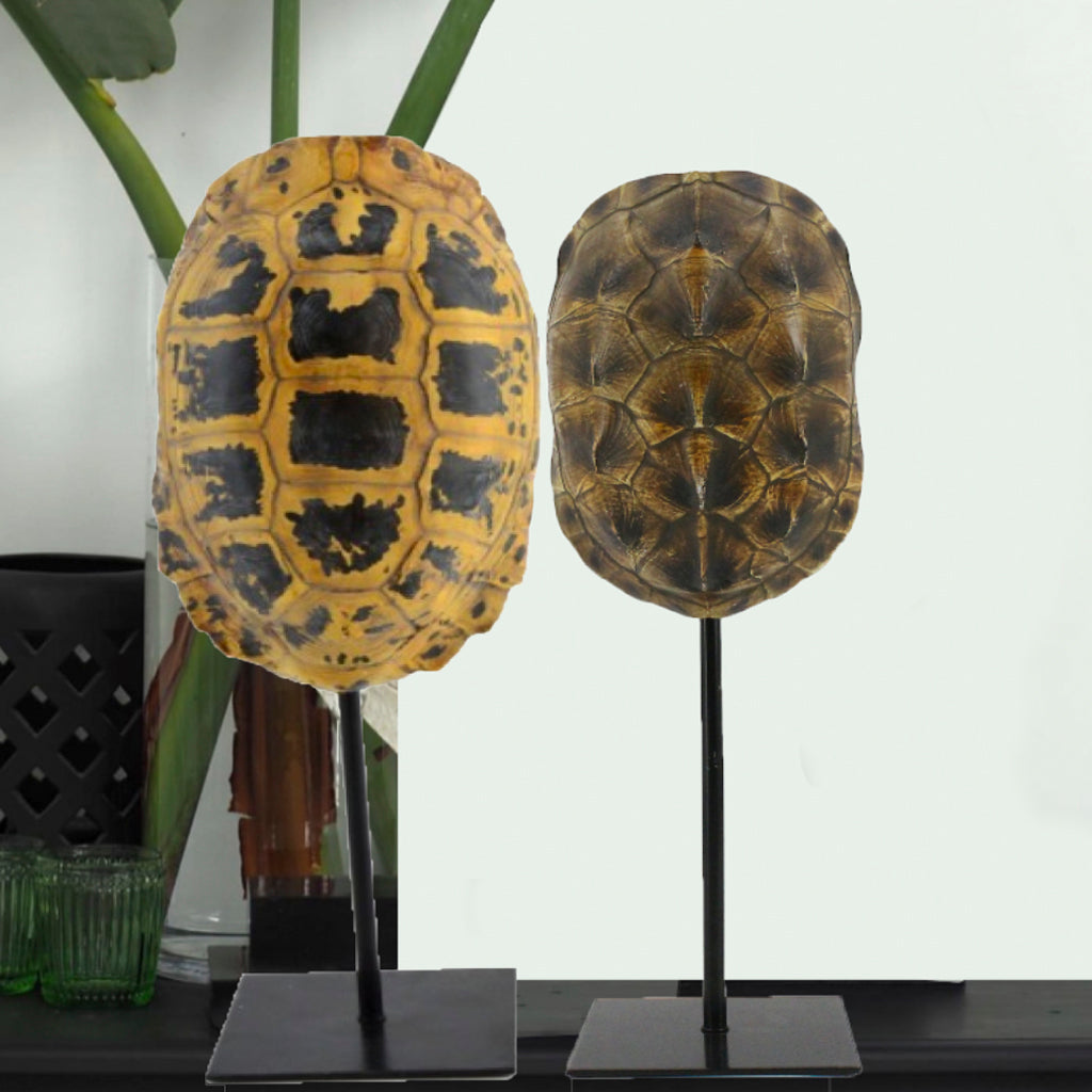 ESCULTURA CAPARAZÓN DE TORTUGA COLOR NATURAL MATERIAL RESINA <BR>12 X 11 X 34 CMS  CMS