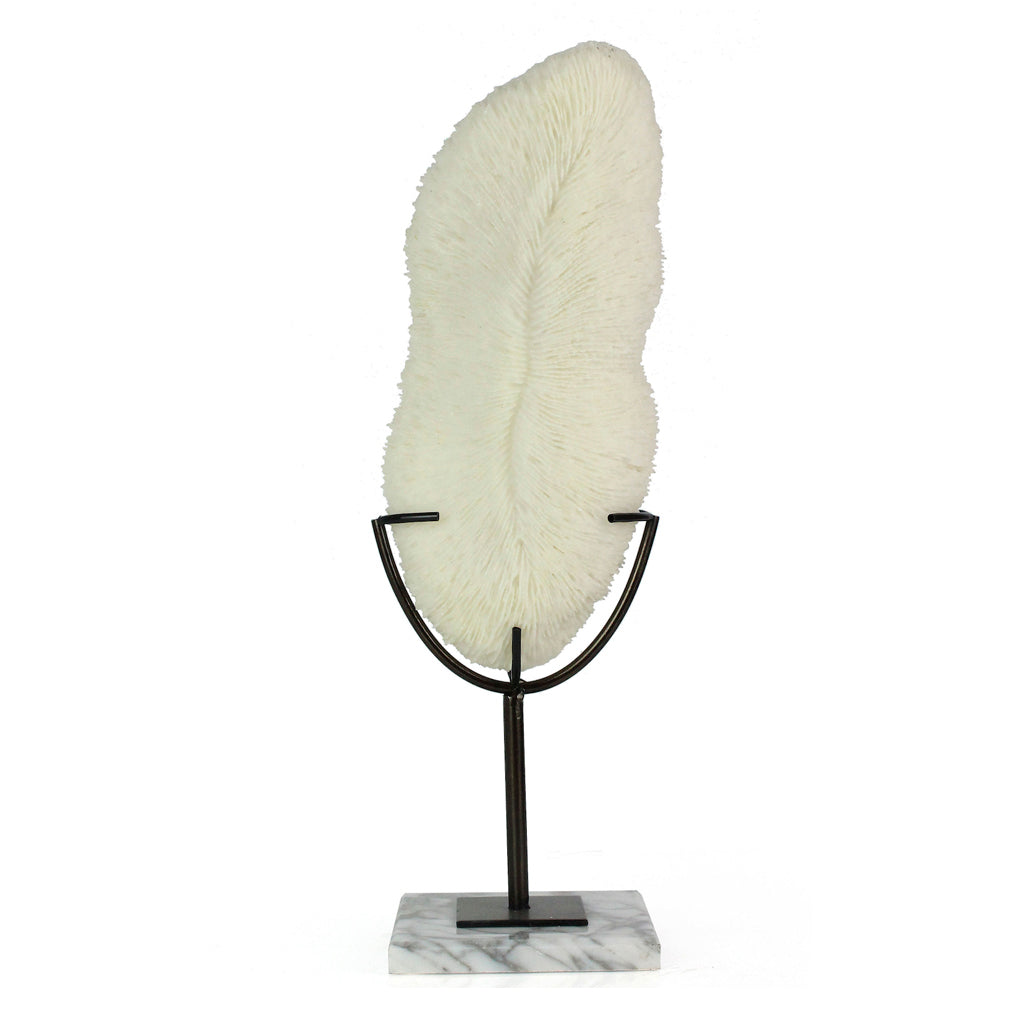 ESCULTURA CONCHA LARGA CON BASE DE MARMOL<BR> 14 X 12 X 41 CMS