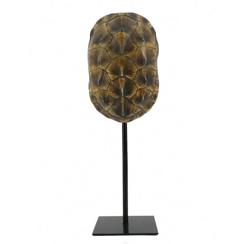 ESCULTURA CAPARAZÓN DE TORTUGA COLOR NATURAL MATERIAL RESINA <BR>12 X 11 X 34 CMS  CMS